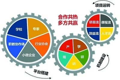 新型碳基材料的制备和应用